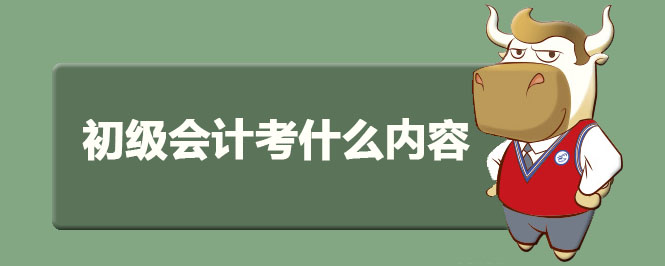 初级会计考什么内容