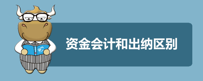 资金会计和出纳区别