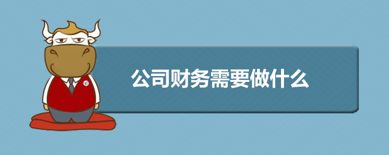 公司财务需要做什么