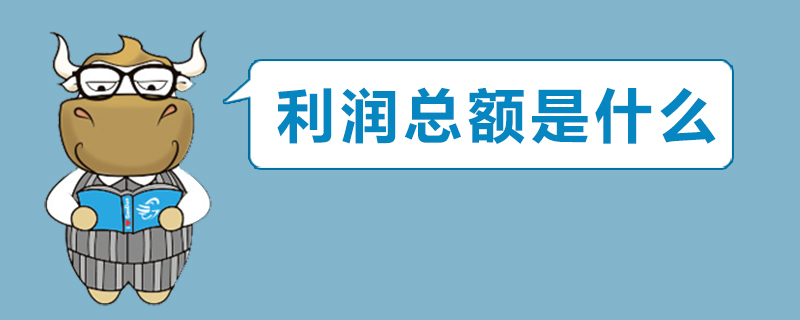 利润总额是什么